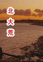 青青操在线播放